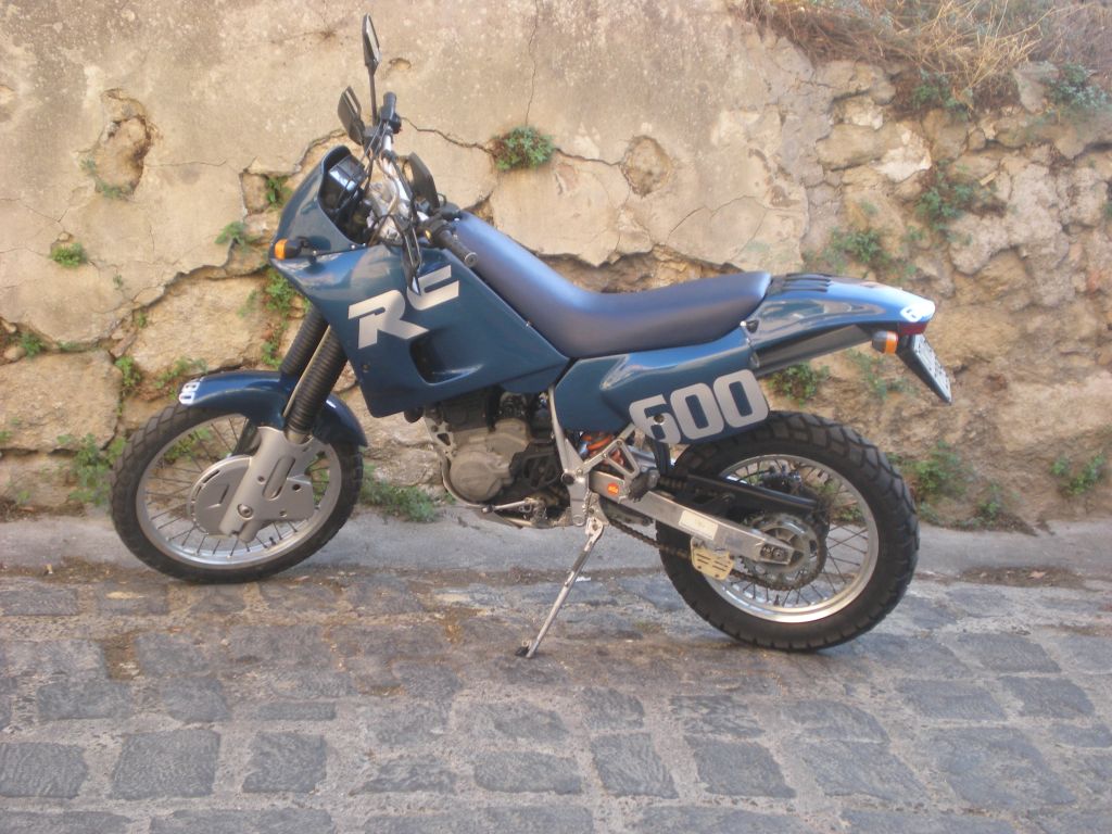 Il mio cobra blu