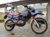 dako2