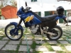 sam_1503a